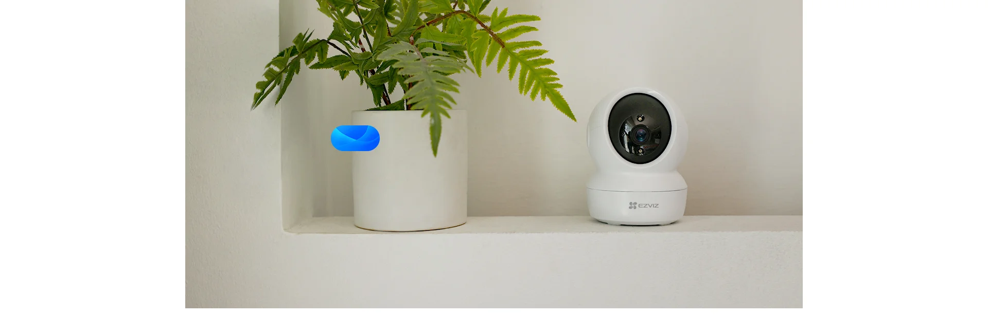 EZVIZ H6c 2K camera on a shelf next to a plant