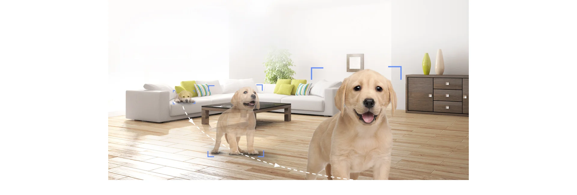 EZVIZ H6c 2MP camera auto-tracking a puppy